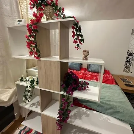 *cocon*independant Proche De L'aeroport Et Gares Apartment Viry-Chatillon